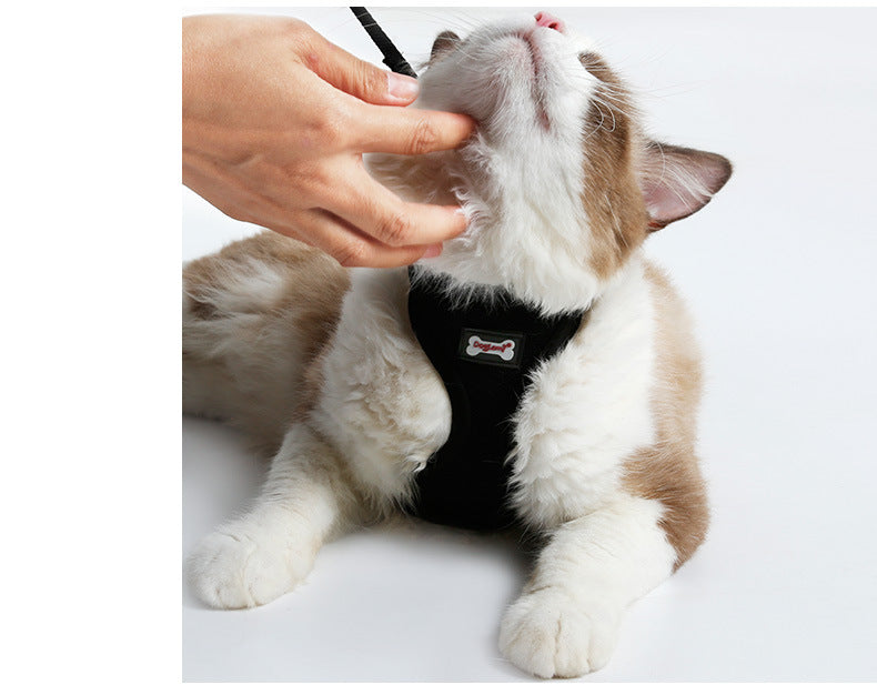 Comfortable Anti-skidding Cat Harness