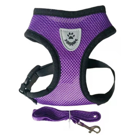 Premium Dog or Cat Harness