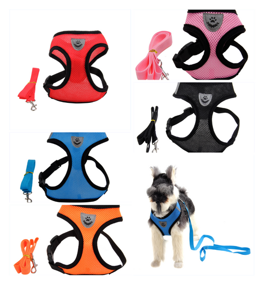 Premium Dog or Cat Harness